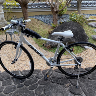 Giant 自転車 スポーツバイク（GIANT ジャイアント） | サイクルウインド イシイ
