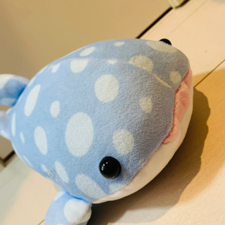【海遊館】ジンベイザメ サメ