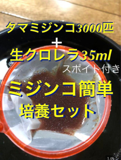 ミジンコ簡単培養セット3000匹 スーパー生クロレラ35ml 優 ゆう いわきのその他の中古あげます 譲ります ジモティーで不用品の処分