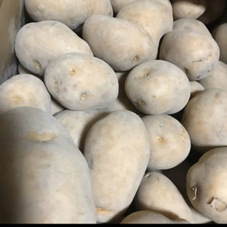 種芋 助け合い ジモティー