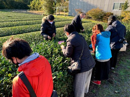 農泊 ファームステイ事業の正社員を募っています Kg 鹿児島のサービス業の正社員の求人情報 リベルタ株式会社 ジモティー