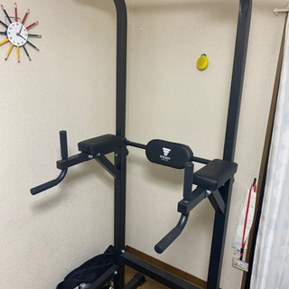 STEADY ぶら下がり健康器 筋トレマシン
