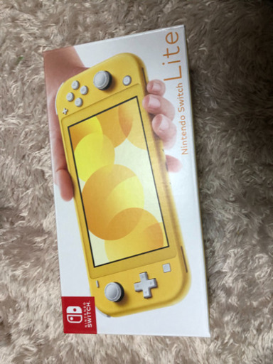 その他 Nintendo switch lite