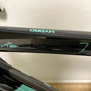 Bianchi ビアニローネ7  2020年モデル  105