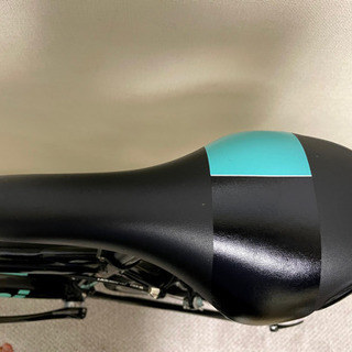 Bianchi ビアニローネ7  2020年モデル  105