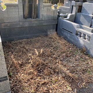 日吉倉にある墓地