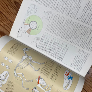 動物大百科全巻(20巻)