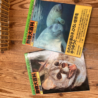 動物大百科全巻(20巻)