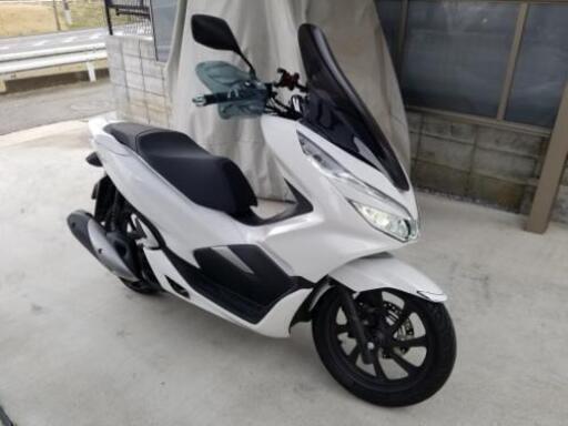 【4月末まで期間限定値下げ】美車　PCX125 JF81 走行900キロ