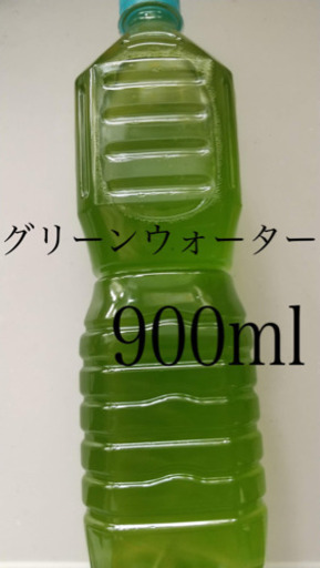 グリーンウォーター 青水 メダカ 稚魚 金魚 531 吉田のその他の中古あげます 譲ります ジモティーで不用品の処分 グリーンウォーター 青水 メダカ 稚魚 金魚 531 吉田のその他の中古あげます 譲ります ジモティーで不用品の処分