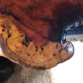 最高級座卓 花梨 天然瘤 高級無垢材 希少 120cm×100cm 一枚板 無垢 こぶ