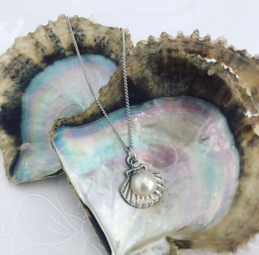 土日限定 Gw歓迎 時給１２００円 しながわ水族館でのイベントスタッフ募集 株 ジャパンシステム 品川のイベントスタッフの無料求人広告 アルバイト バイト募集情報 ジモティー