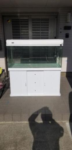 宮城仙台！1200×450×550ガラス水槽セット