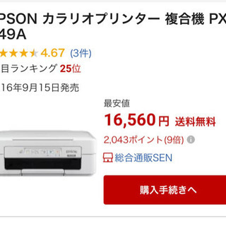 EPSON PX-049A Colorio