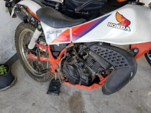 TLM50 委託 書類付き 1000キロ弱低走行 TLM50 委託 書類付き 1000キロ弱低走行