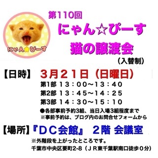 3月21日(日)🌸にゃん☆ぴーす猫の譲渡会🌸「DC会館」JR東千...