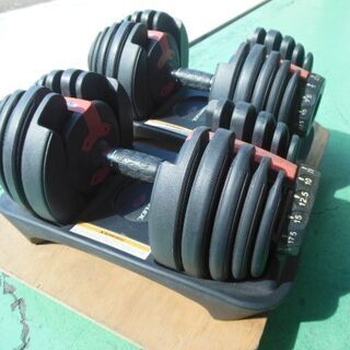 BOWFLEX　アジャスタブルダンベル BD552 2個セット        
