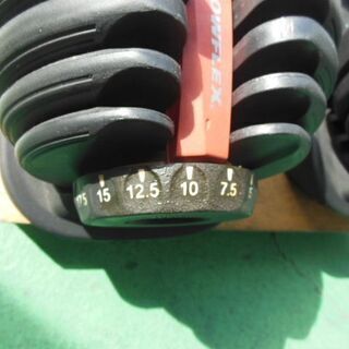 BOWFLEX　アジャスタブルダンベル BD552 2個セット        