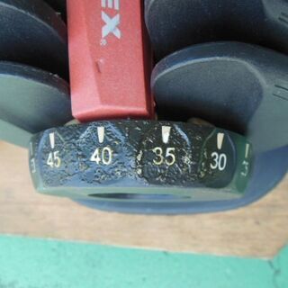 BOWFLEX　アジャスタブルダンベル BD552 2個セット        