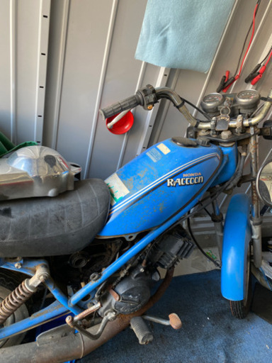 ホンダラクーン