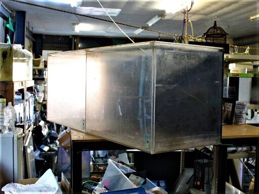 中古１３５×４５×h５０　アクリル分割水槽