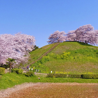 【行田さきたま古墳公園】3/27（土）11::00~　お花見de...