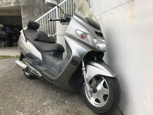 250cc スカイウェブ 絶好調 | institutodelasordera.cl