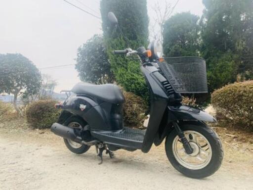 ホンダトゥディ50 通勤通学原付 綺麗低燃費