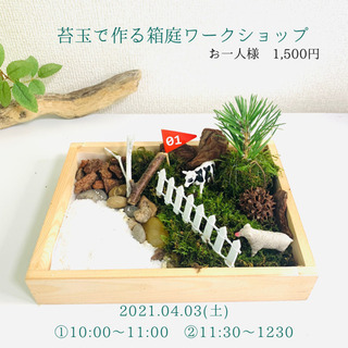 苔玉と苔で作る箱庭ワークショップ