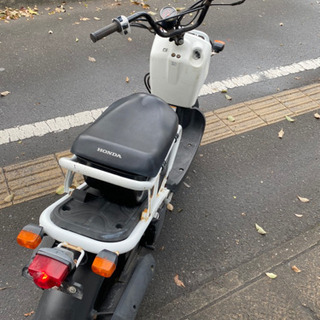 鹿児島市 ズーマー 人気車