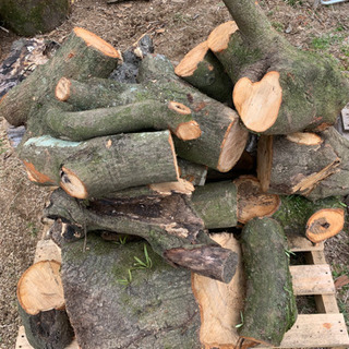 中古楢木が無料・格安で買える！｜ジモティー