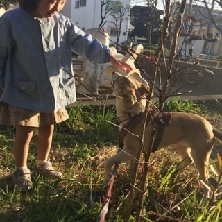 ありがとうございました