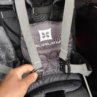 2人乗りチャイルドトレーラー