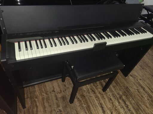 CASIO PX-830BK 2011製 ￥30,000-