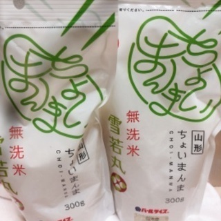 【ネット決済】無洗米　雪若丸　300g×2袋