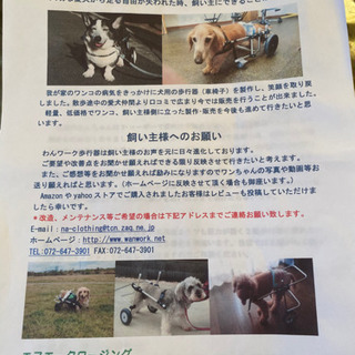 正安【規 犬用 歩行器 小型犬用 2輪歩行器 sサイズ 車椅子 - sogorn.com.br