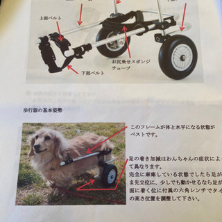 犬用 歩行器 小型犬用 2輪歩行器 sサイズ 車椅子 | amidomil.com.br