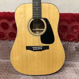 Morris(モーリス) M-25/NAT◇アコギ◇ドレッドノートタイプ◇こちら