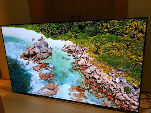 東芝　REGZA  65型有機ELテレビ　2018年製 65x920