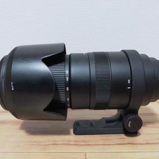AB級/canon】SIGMA 50-500mm F4.5-6.3 APO DG OS