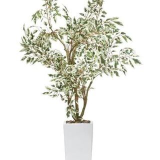 フェイクグリーン　フィカス110cm　セラミックポット　人工観葉植物