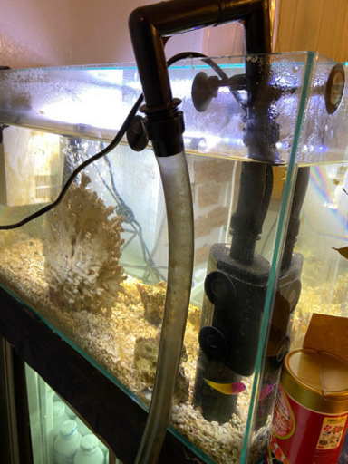 60センチ海水魚水槽一式 【公式通販】