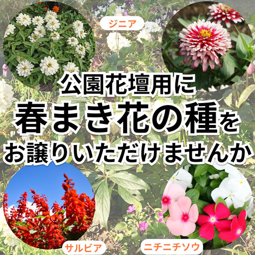 公園花壇用に春まき種をお譲りいただけませんか 種まきイベント参加者も同時募集 いきちか 矢口渡の買いたい くださいの助け合い ジモティー