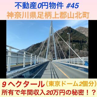 9ヘクタール0円　不動産0円物件＃45　神奈川県足柄上郡山北町中川