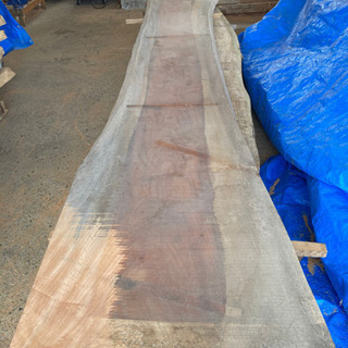 欅 ケヤキ 天板 テーブル用 418×ＭAX79㎝前後×板厚4.3前後（仕上り）