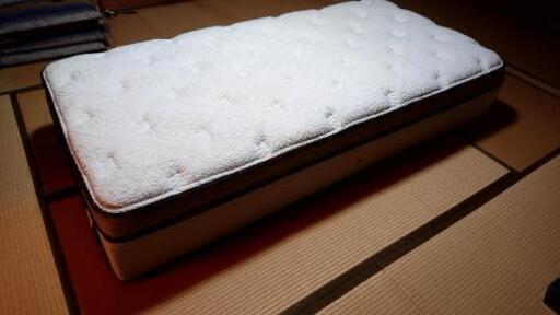 sealy ベッド用マット（中古品）