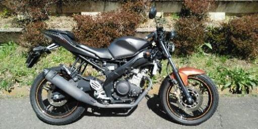 YZF-R15　(1328)