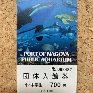 名古屋港水族館　小・中学生チケット