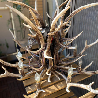 エゾジカの角のシャンデリア