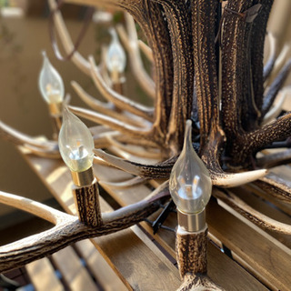 エゾジカの角のシャンデリア